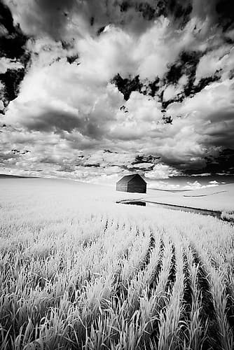 Infrared Palouse fields and barn-PR Art Print